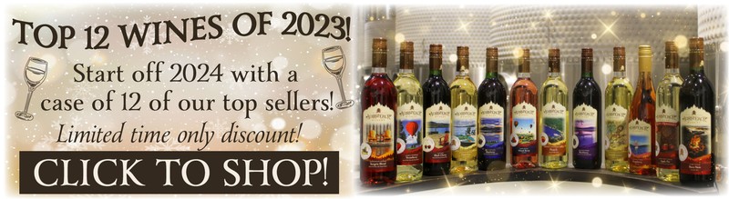 https://www.adirondackwinery.com/assets/client/Image/WinePage/Top-12-Wines-of-2024-webbanner.jpg