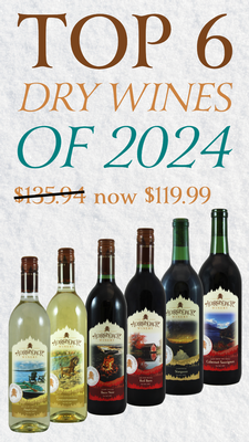 Top 6 Dry Wines of 2024 1